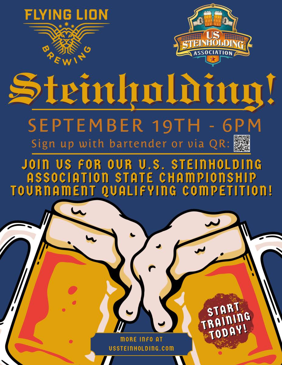 Steinholding qualifying round poster